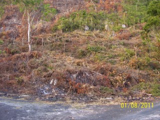 Coopers Hill, Kingston / St. Andrew, Jamaica - Residential lot for Sale